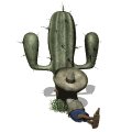 cactus_siesta_mw.gif