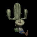 cactus_siesta_mc.gif