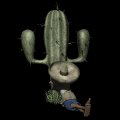 cactus_siesta_mb.gif