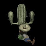 cactus_siesta_lc.gif