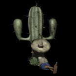 cactus_siesta_lb.gif