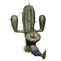 cactus_siesta_hr.jpg