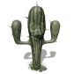 cactus_blinking_sw.gif