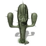 cactus_blinking_lw.gif