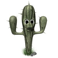 cactus_blinking_hr.jpg