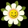 happy_daisy_lb.gif