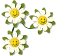flower_smiles_sw.gif