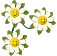 flower_smiles_sc.gif