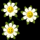 flower_smiles_sb.gif