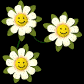 flower_smiles_mb.gif