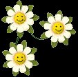 flower_smiles_lc.gif
