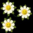 flower_smiles_lb.gif