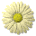daisy_button_yellow_tw.gif
