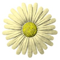 daisy_button_yellow_hr.jpg