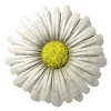 daisy_button_white_mw.gif