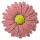 daisy_button_red_tw.gif