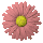 daisy_button_red_tc.gif