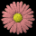 daisy_button_red_tb.gif