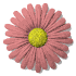 daisy_button_red_sw.gif