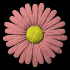 daisy_button_red_sb.gif
