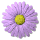 daisy_button_purple_tw.gif