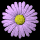 daisy_button_purple_tb.gif