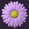 daisy_button_purple_mc.gif