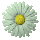 daisy_button_green_tc.gif