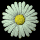 daisy_button_green_tb.gif
