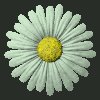 daisy_button_green_mc.gif