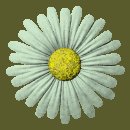 daisy_button_green_lc.gif