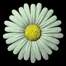 daisy_button_green_lb.gif