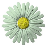 daisy_button_green_hr.jpg