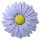 daisy_button_blue_tw.gif