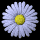 daisy_button_blue_tb.gif