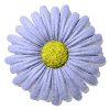 daisy_button_blue_mw.gif