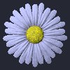 daisy_button_blue_mc.gif