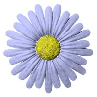 daisy_button_blue_hr.jpg