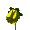 yellow_flower_sc.gif