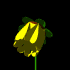 yellow_flower_mb.gif