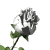white_rose_sw.gif
