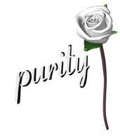 white_rose_open_meani_a_hr.jpg