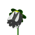 white_flower_mw.gif