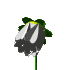 white_flower_mc.gif