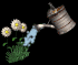watering_flowers_sb.gif