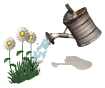 watering_flowers_mw.gif