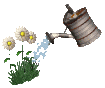 watering_flowers_mc.gif