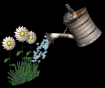 watering_flowers_mb.gif