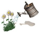 watering_flowers_lw.gif