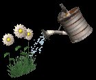 watering_flowers_lc.gif